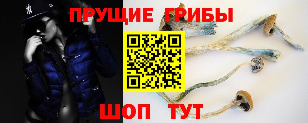 Галлюциногенные грибы ЛСД Можайск