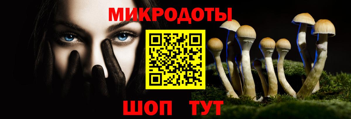 Можайск  купить закладку  Вход с VPN  Галлюциногенные грибы мицелий 
